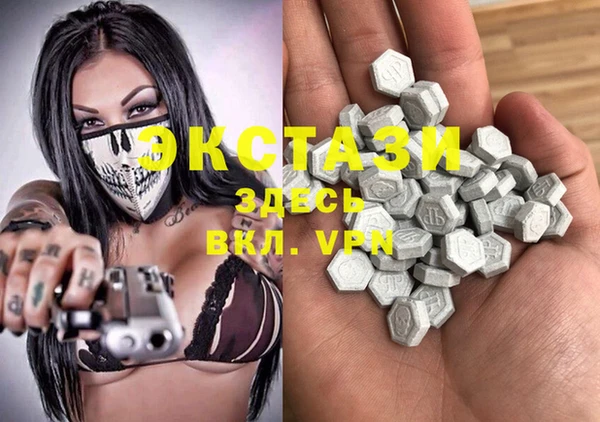 индика Богданович