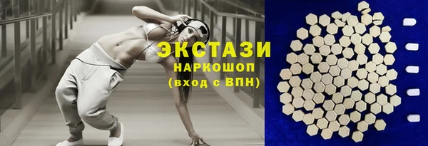 индика Богданович