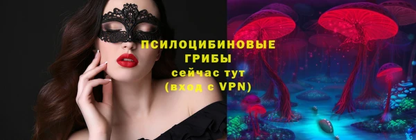 индика Богданович