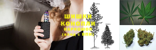 индика Богданович