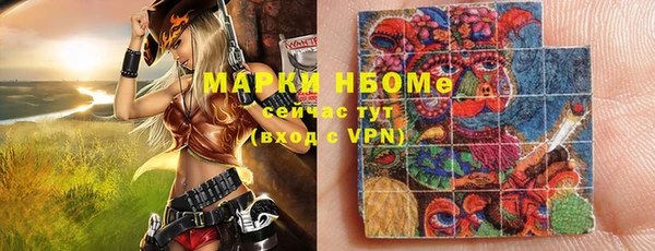 индика Богданович
