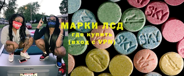 индика Богданович