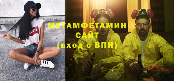 индика Богданович