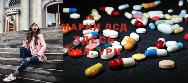 индика Богданович