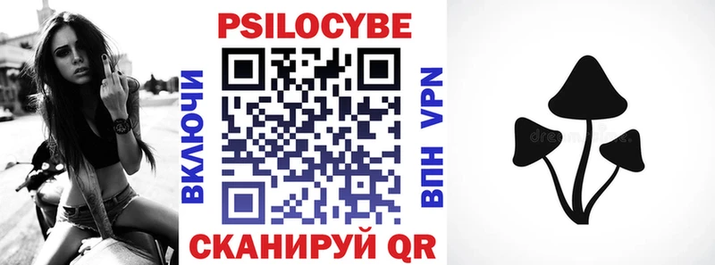 закладки  Наволоки  Псилоцибиновые грибы Psilocybe 